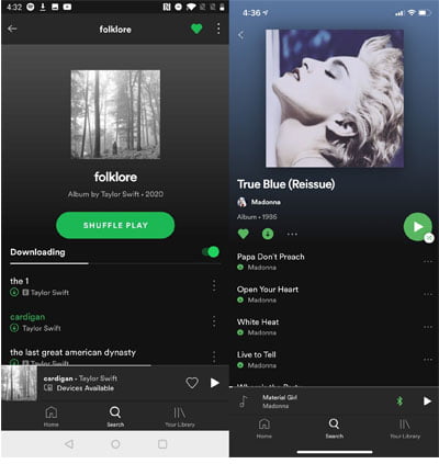 Cách Tải nhạc từ Spotify về Máy tính hình 3